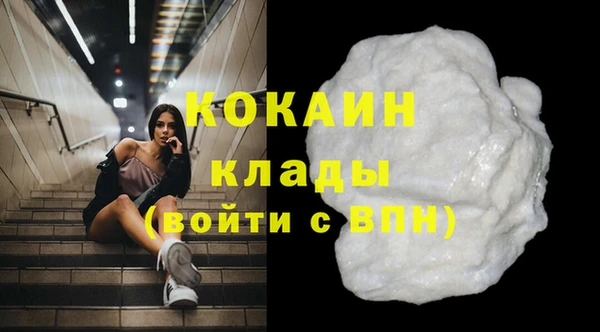 гашик Дмитров
