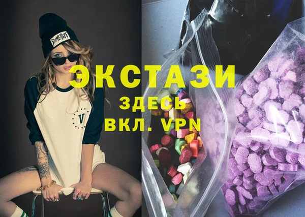 гашик Дмитров