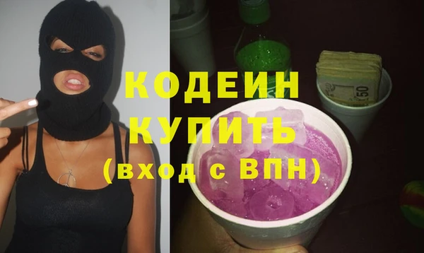 гашик Дмитров