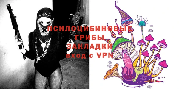 гашик Дмитров