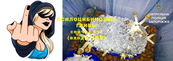 2c-b Дмитриев