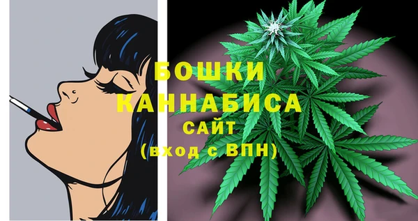 2c-b Дмитриев