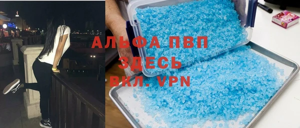 гашик Дмитров