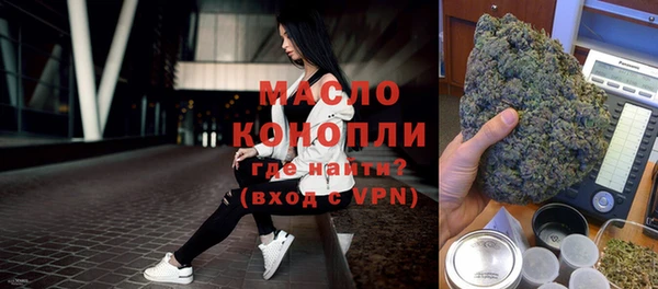 гашик Дмитров