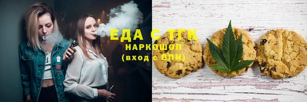 гашик Дмитров