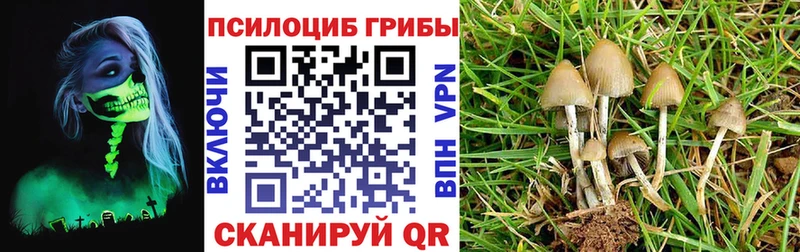 hydra как зайти Перевоз Псилоцибиновые грибы мухоморы