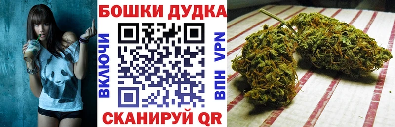 где купить наркоту  Перевоз  Канабис Bruce Banner 